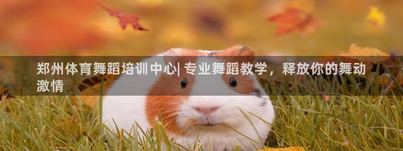耀世娱乐脚本下载安装：郑州体育舞蹈培训中心| 专业舞