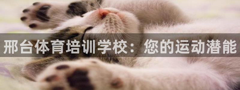 耀世娱乐骗局是真的吗：邢台体育培训学校：您的运动潜能