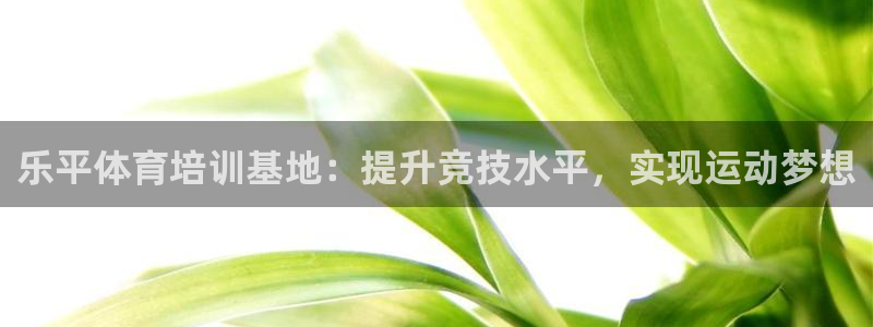 耀世娱乐如何登录平台：乐平体育培训基地：提升竞技水平，实现运