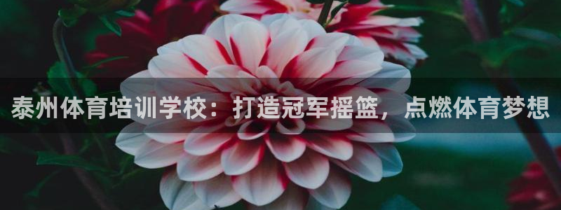 耀世平台拿什么输入账号密码呢：泰州体育培训学校：打造