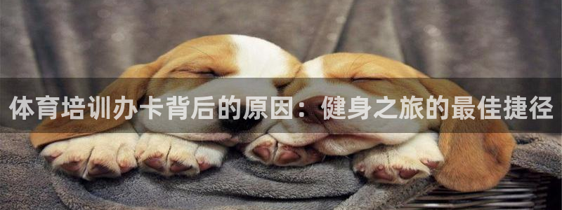 耀世首开什么意思：体育培训办卡背后的原因：健身之旅的最佳捷径