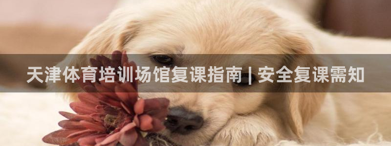 耀世啥意思：天津体育培训场馆复课指南 | 安全复课需
