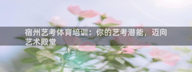 耀世娱乐总代理是谁：宿州艺考体育培训：你的艺考潜能，迈向
艺
