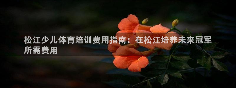 耀世集团总部在哪儿：松江少儿体育培训费用指南：在松江