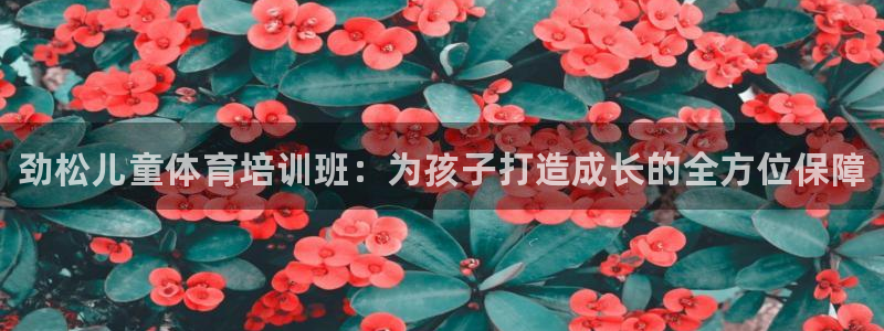耀世娱乐登陆官网网址