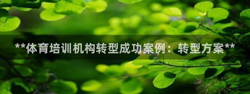耀世团长：**体育培训机构转型成功案例：转型方案**