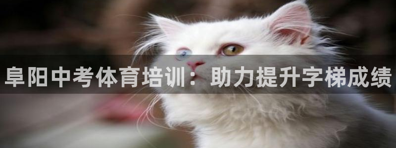 耀世平台嗯 5o69I7：阜阳中考体育培训：助力提升字梯成绩