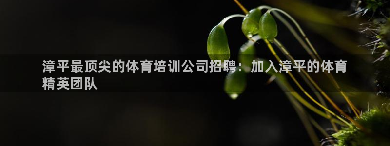 耀世集团王总：漳平最顶尖的体育培训公司招聘：加入漳平