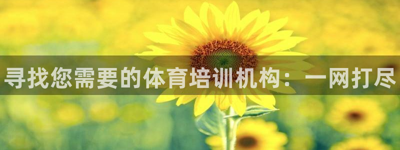 耀世娱乐黑钱吗能退吗：寻找您需要的体育培训机构：一网