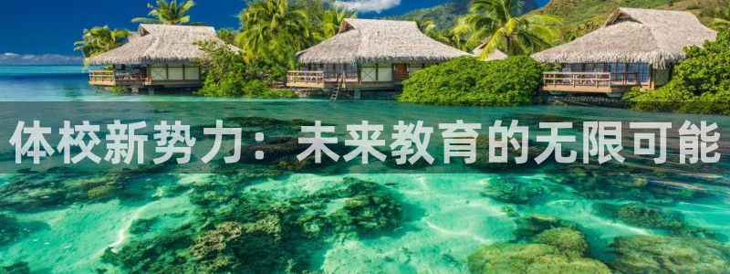 耀世集团北京快三是真的吗：体校新势力：未来教育的无限可能