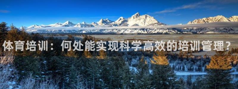 耀世平台登录地址：体育培训：何处能实现科学高效的培训管理？
