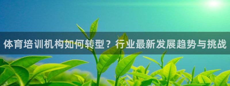 耀世是什么游戏里的人物：体育培训机构如何转型？行业最新发展趋