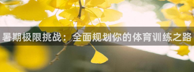 耀世娱乐平台官网登录不了了：暑期极限挑战：全面规划你