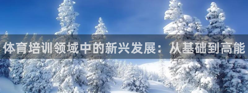 耀世平台信 585341 平台：体育培训领域中的新兴